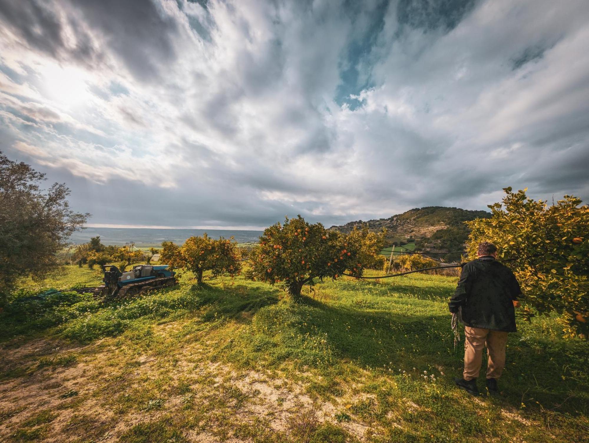 Kallikoros Country Resort & Spa Noto Luaran gambar