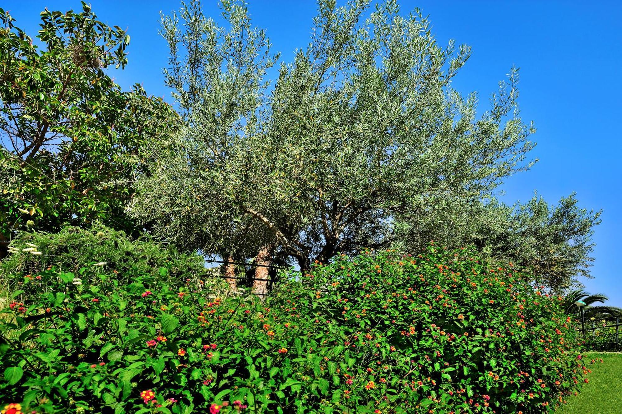 Kallikoros Country Resort & Spa Noto Luaran gambar