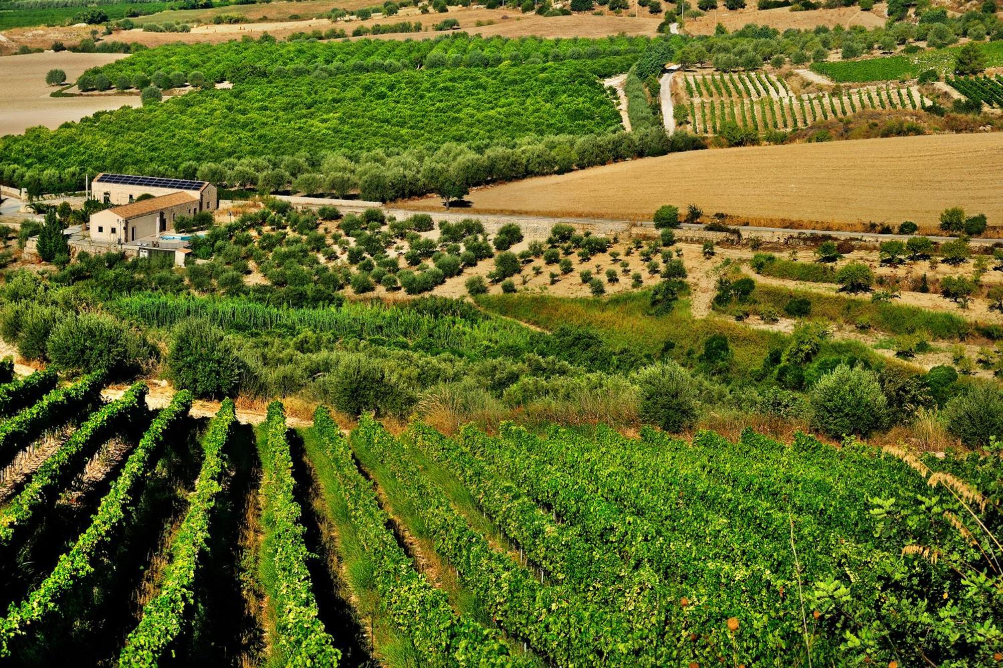 Kallikoros Country Resort & Spa Noto Luaran gambar