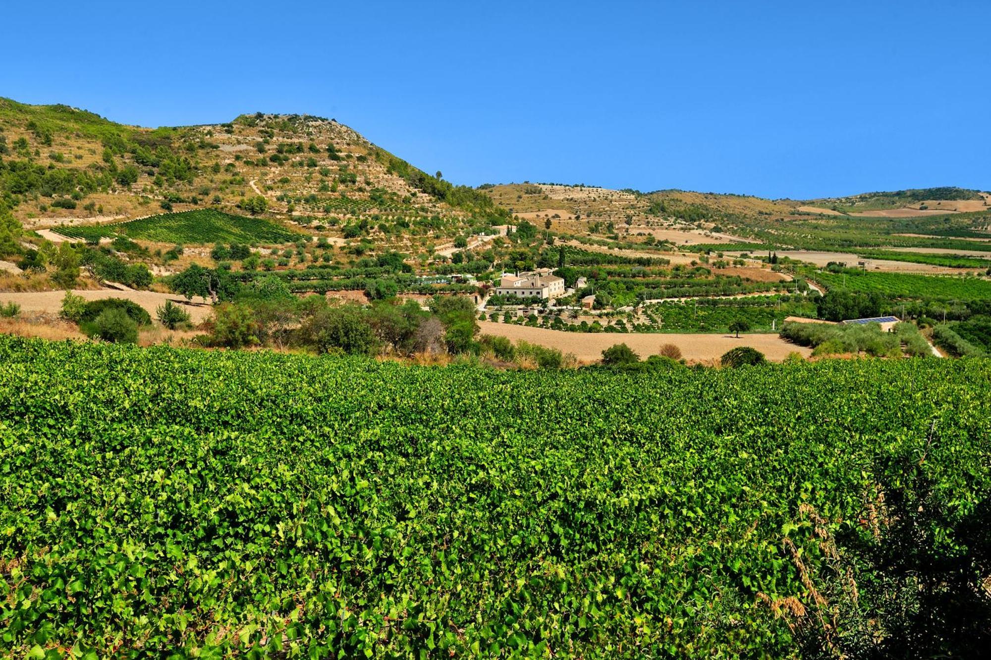 Kallikoros Country Resort & Spa Noto Luaran gambar