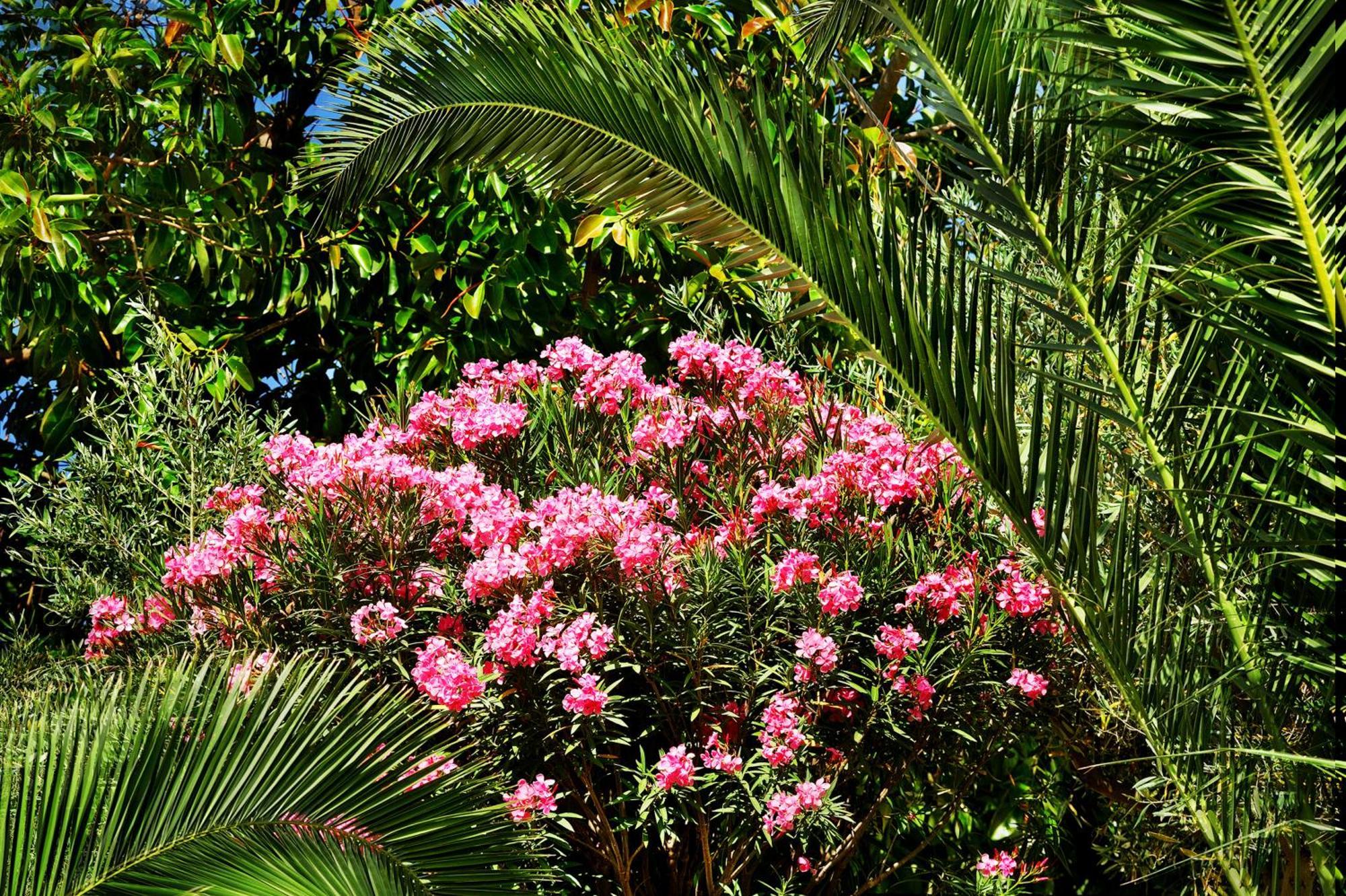 Kallikoros Country Resort & Spa Noto Luaran gambar