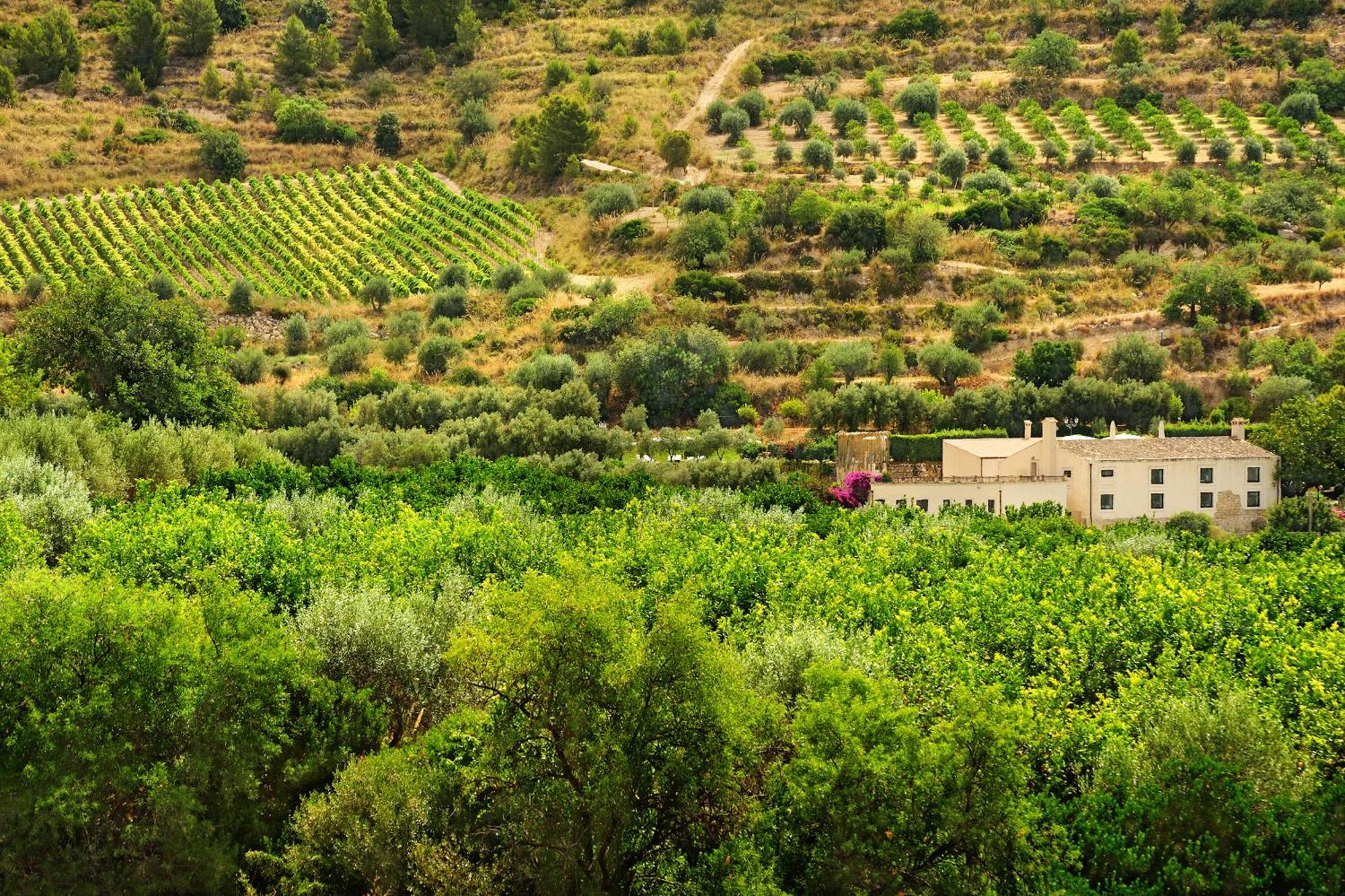 Kallikoros Country Resort & Spa Noto Luaran gambar