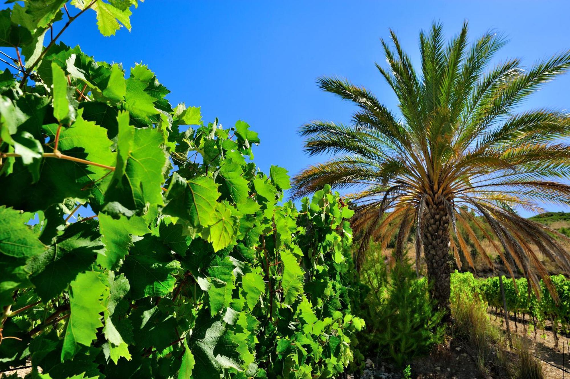 Kallikoros Country Resort & Spa Noto Luaran gambar