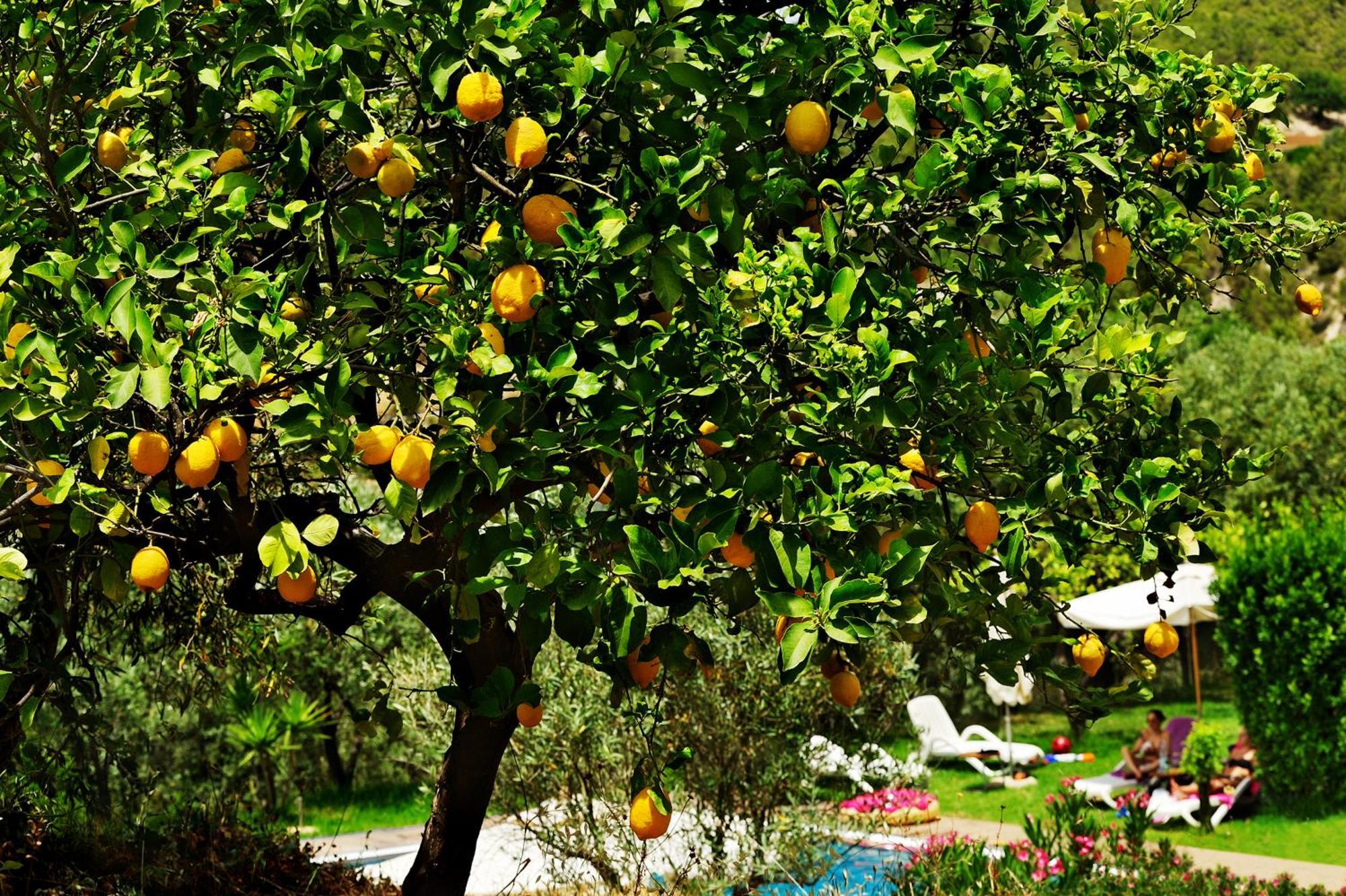 Kallikoros Country Resort & Spa Noto Luaran gambar