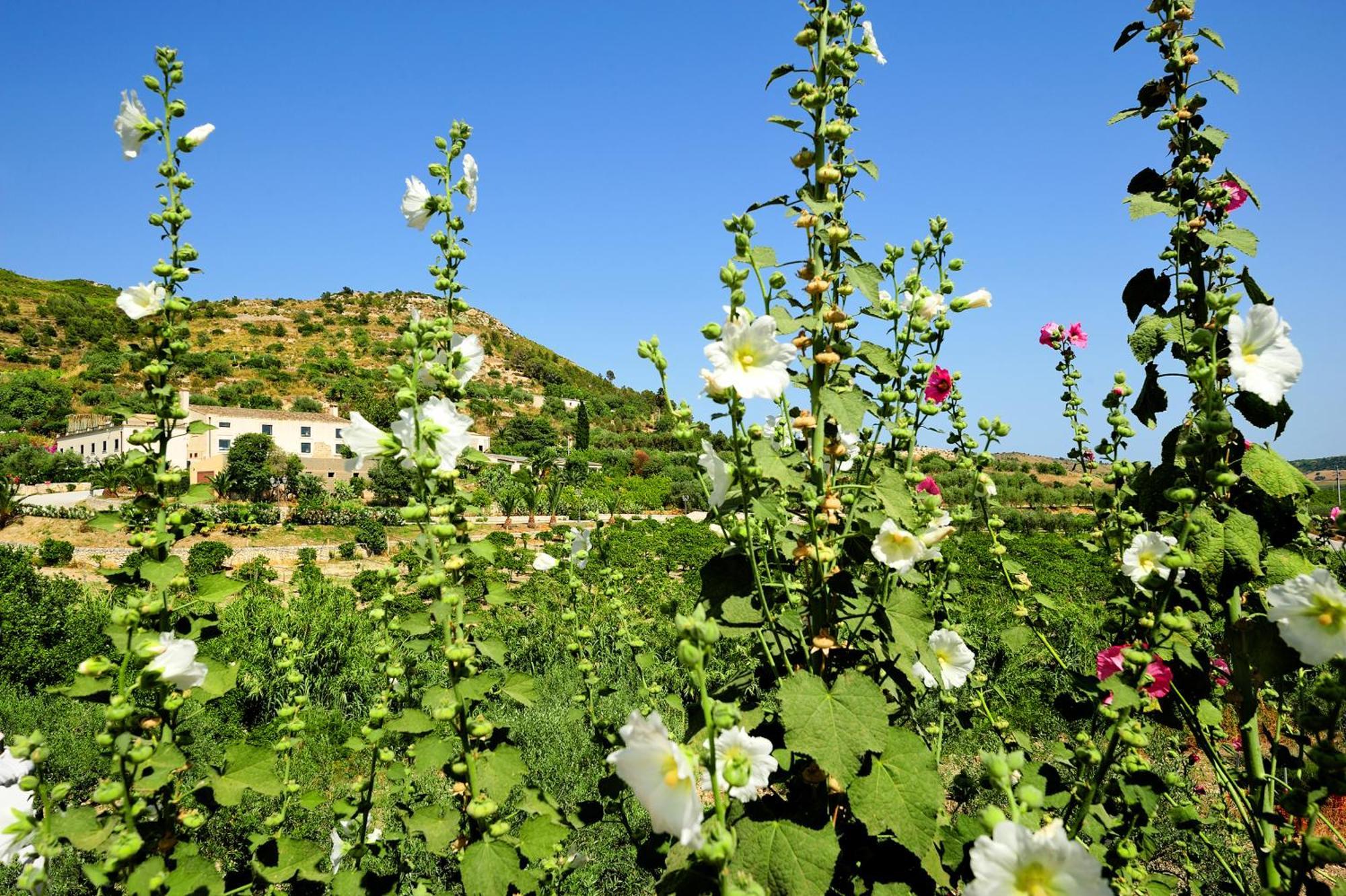 Kallikoros Country Resort & Spa Noto Luaran gambar