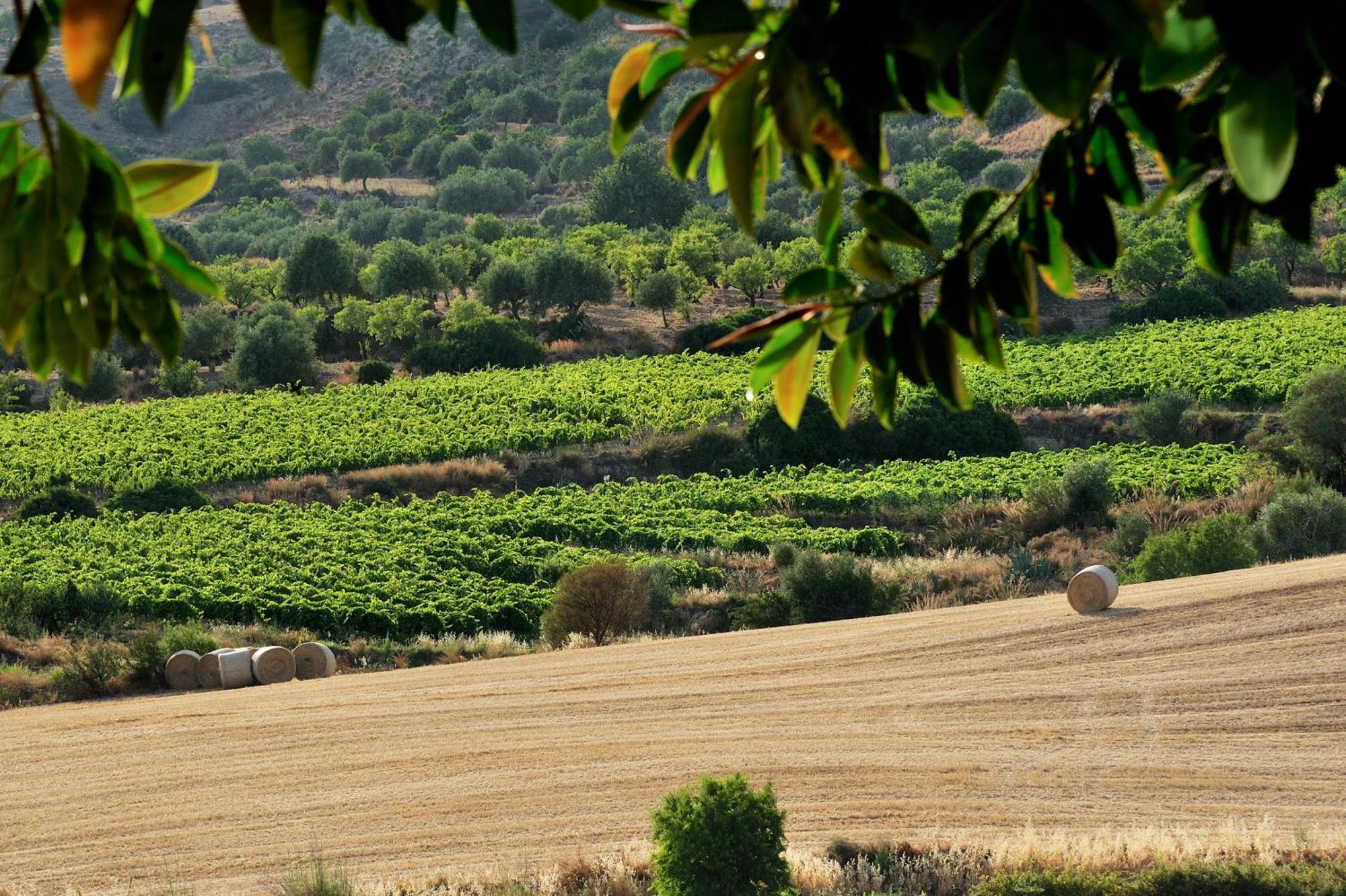 Kallikoros Country Resort & Spa Noto Luaran gambar