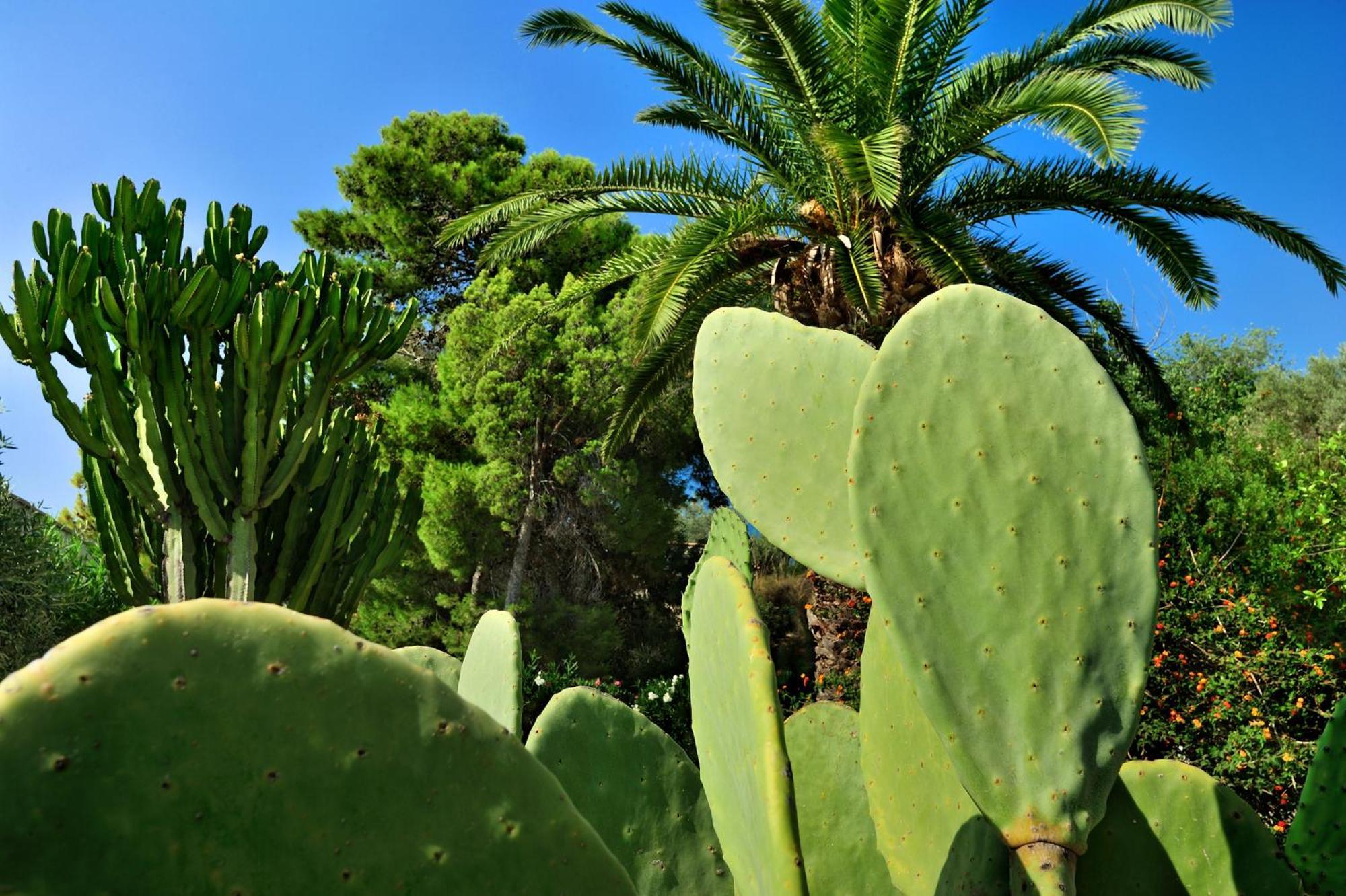 Kallikoros Country Resort & Spa Noto Luaran gambar