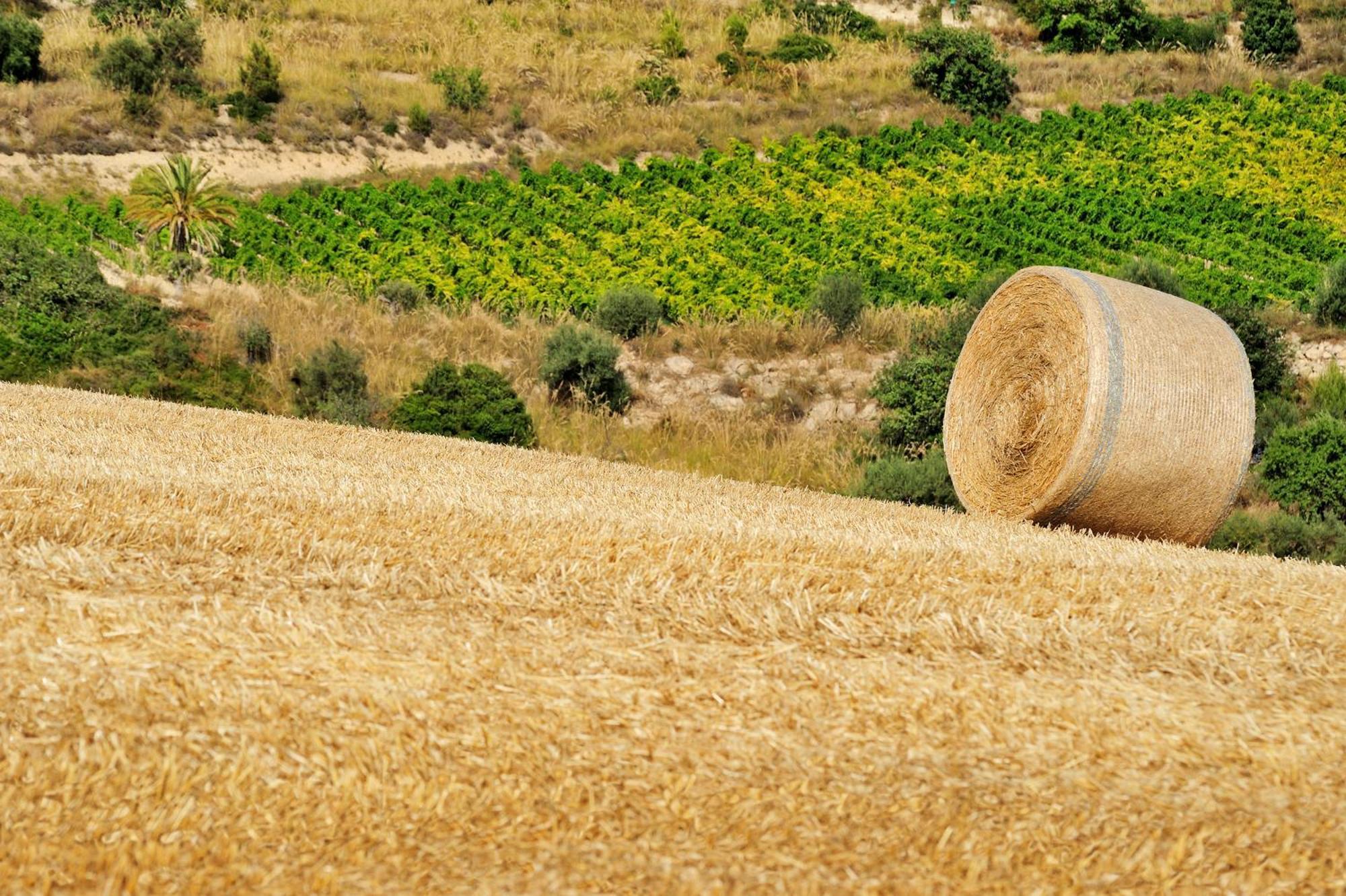 Kallikoros Country Resort & Spa Noto Luaran gambar